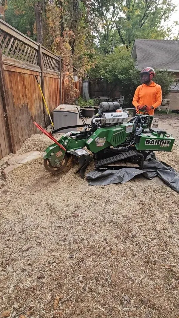 Devora crew member running a stump grinder